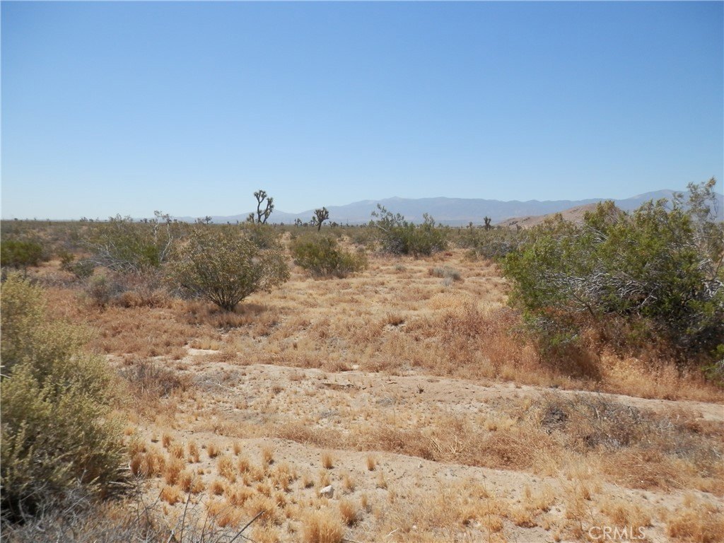 Picture 9