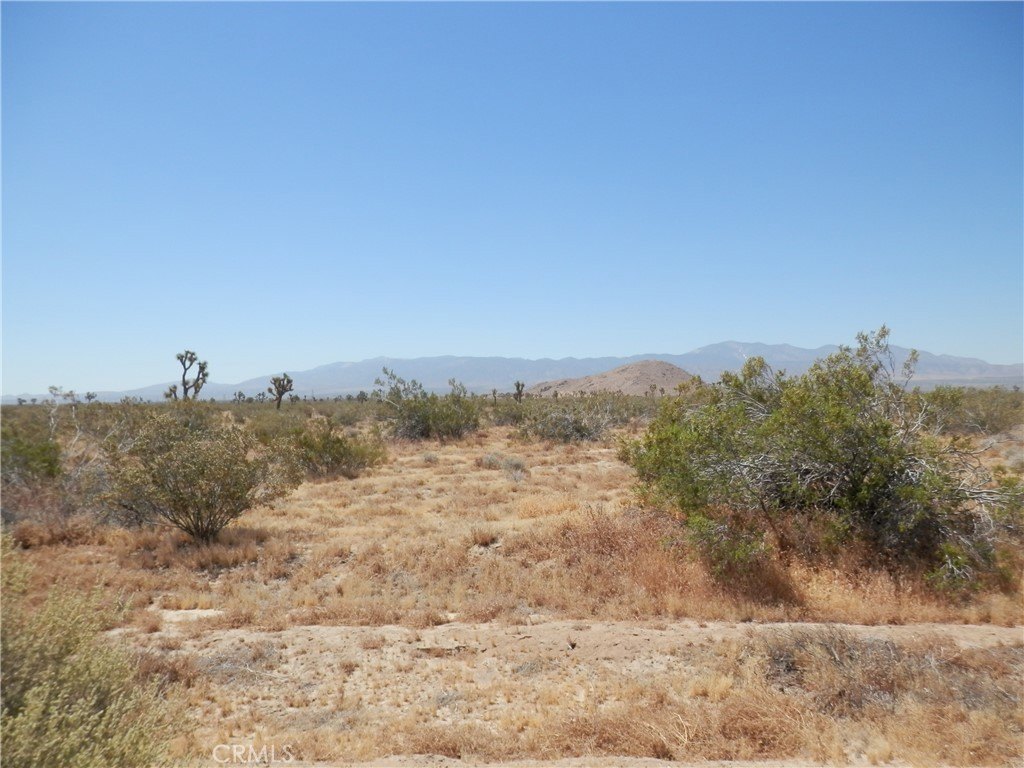Picture 10