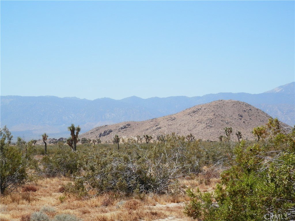 Picture 11