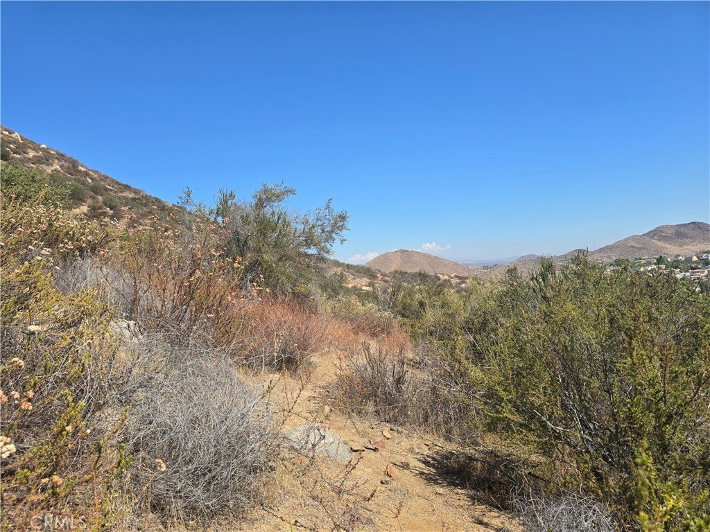Picture 6