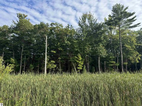 Vacant Lot/Land, East Tawas, MI
