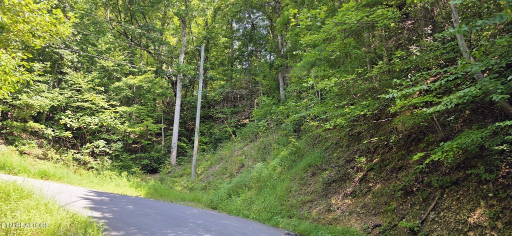 Picture 3