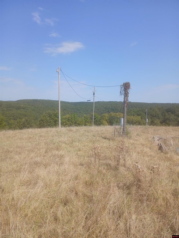 Picture 14