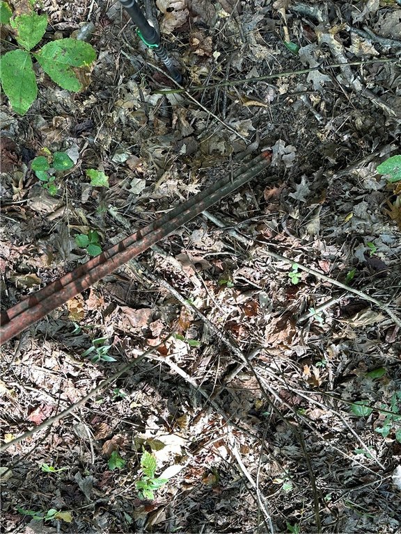 Picture 25