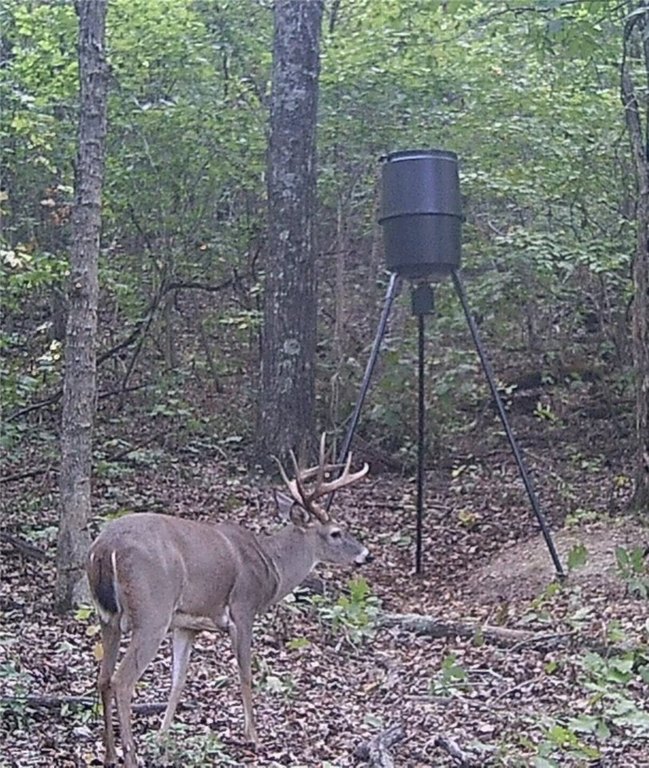 Picture 41