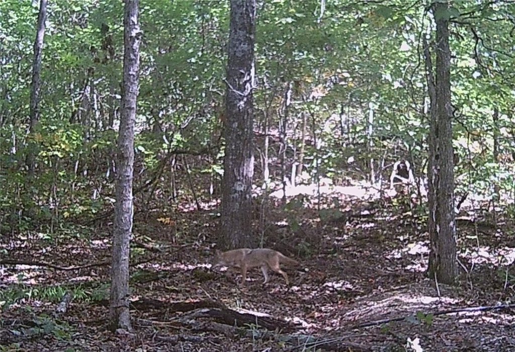 Picture 39