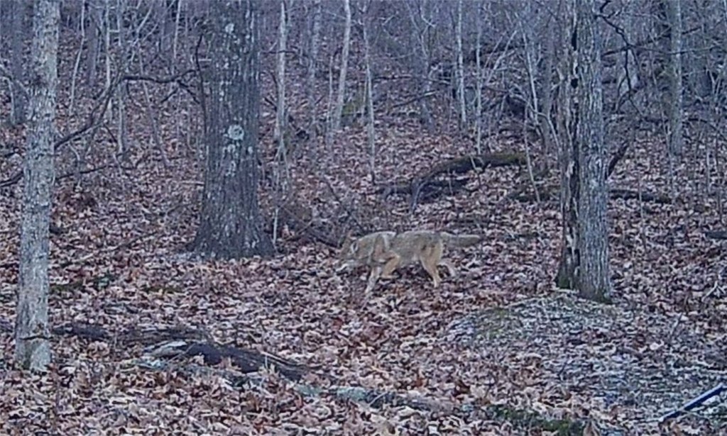 Picture 38