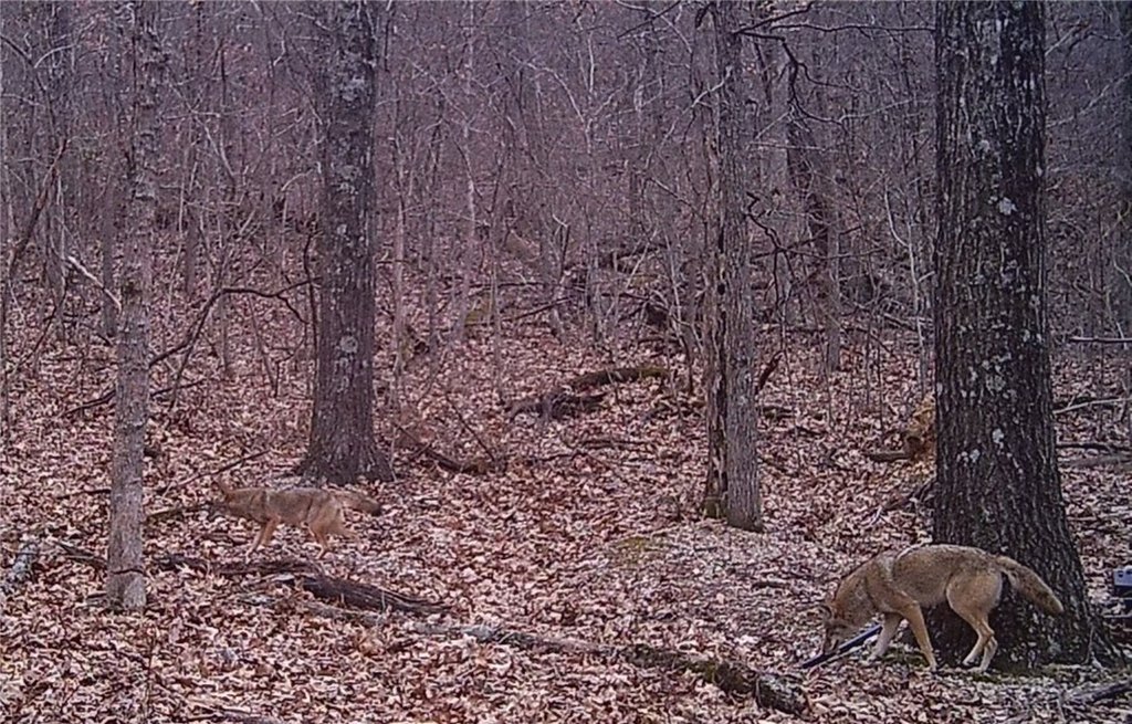 Picture 40