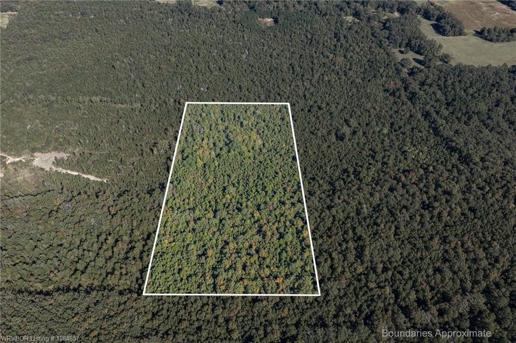 20 Acres of Country Land