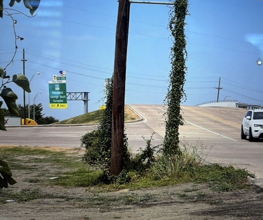 Picture 10