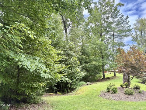 LAND - Butler, TN