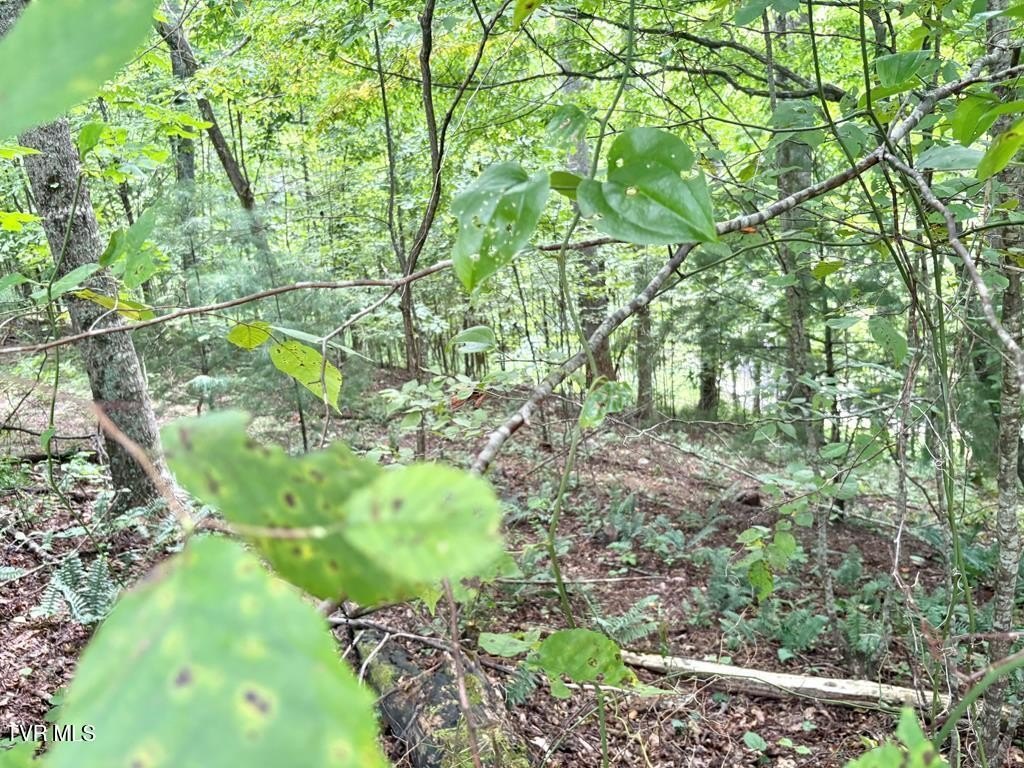 Picture 8