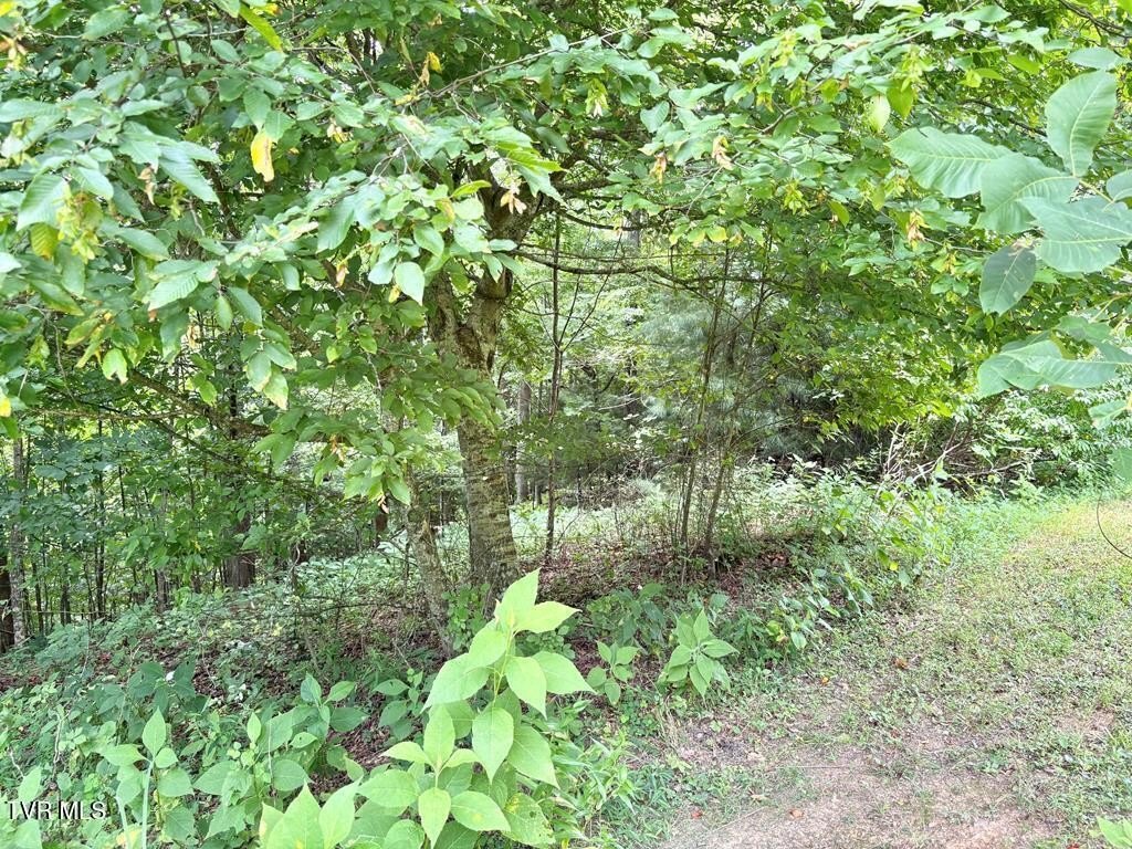 Picture 16