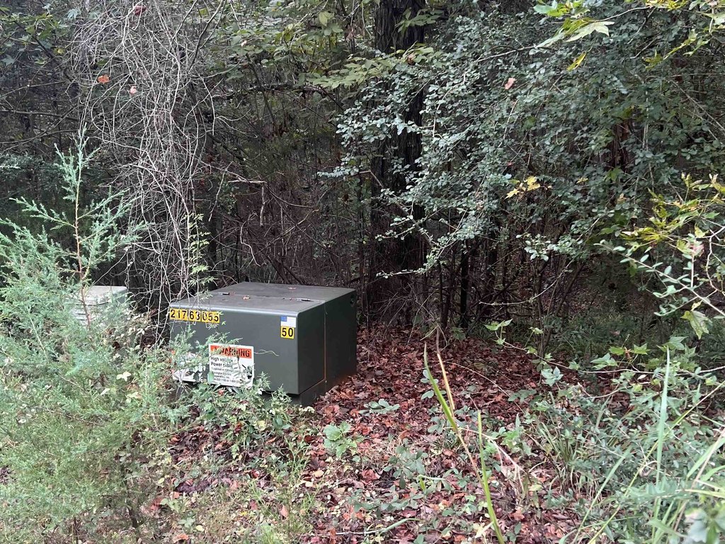 Picture 6