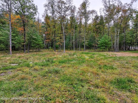 Land, Kingston, NY