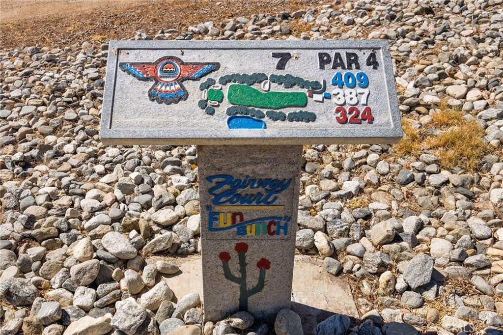 Picture 23