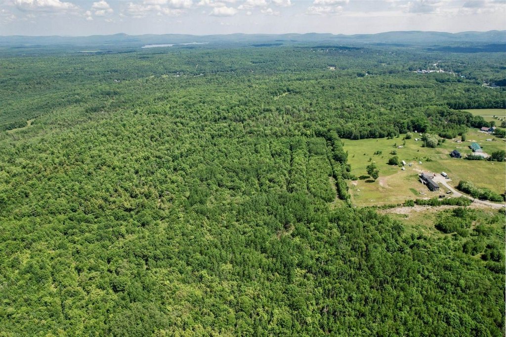Picture 24