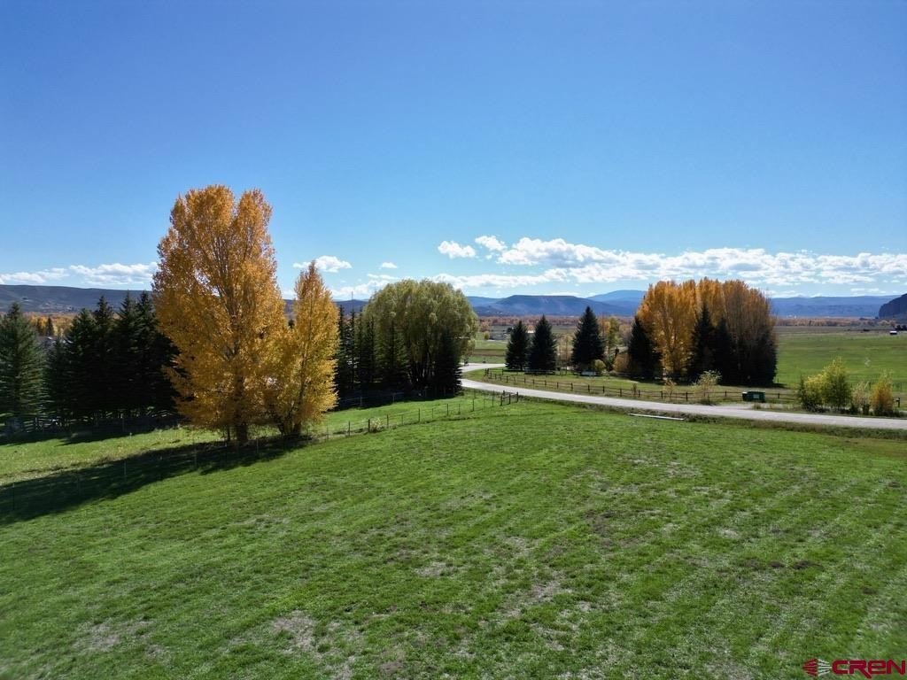Picture 25