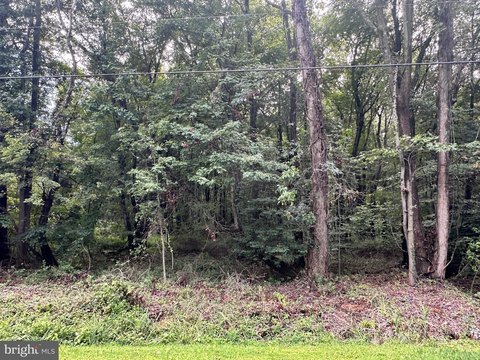Residential Land in Chestertown, MD