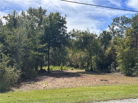 Land, Homosassa, FL