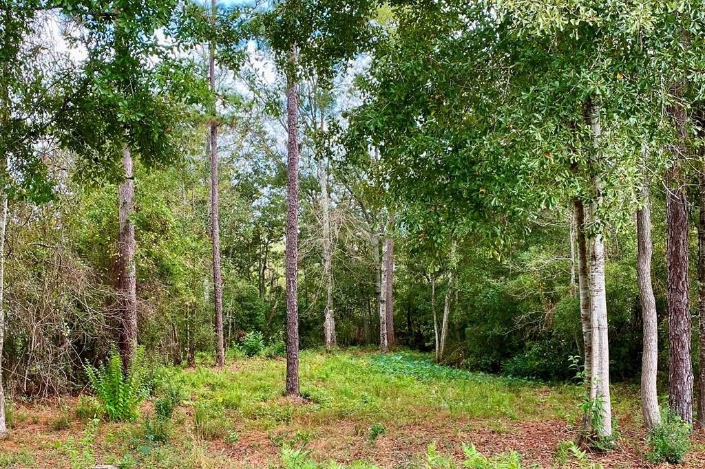 Waterfront Lot in Gated Community