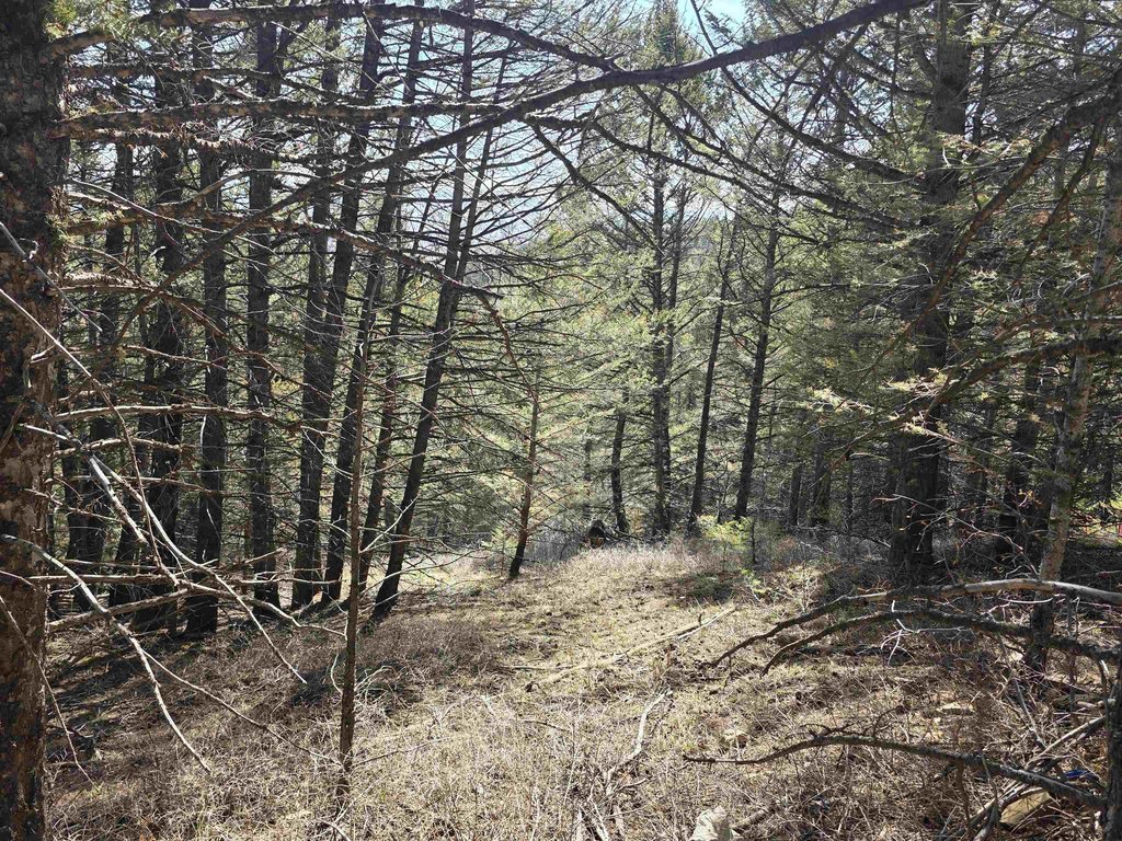 Picture 6