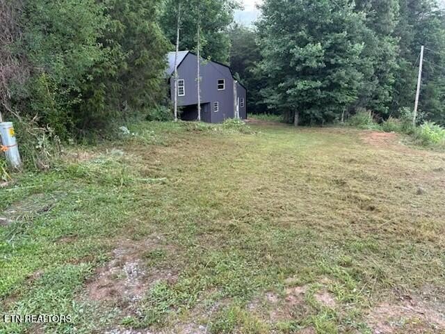 Picture 15