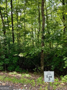 Land, Blue Ridge, GA