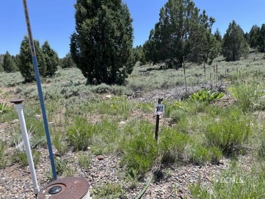 Residential Lot in Long Valley