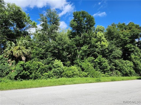 Land, Citrus Springs, FL