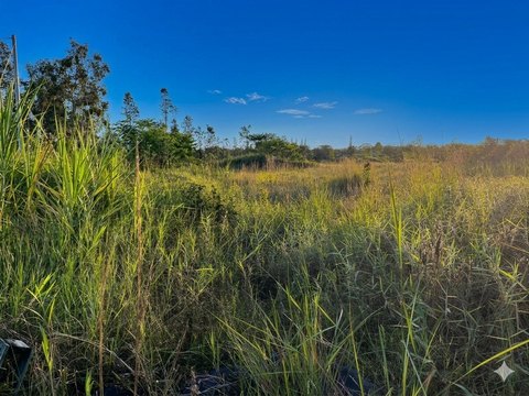 Cleared Mountain View Acreage