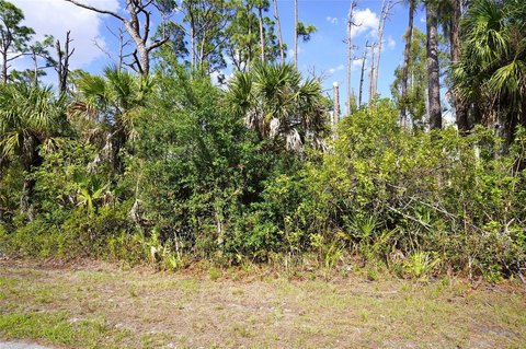 Port Charlotte Land Opportunity