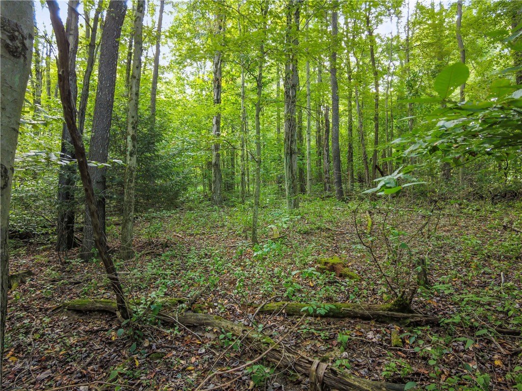 Chippewa Township Building Lot