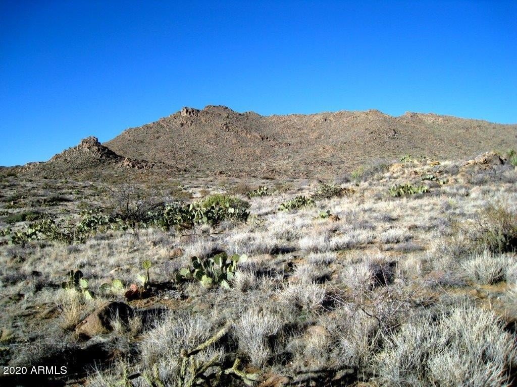 Picture 4