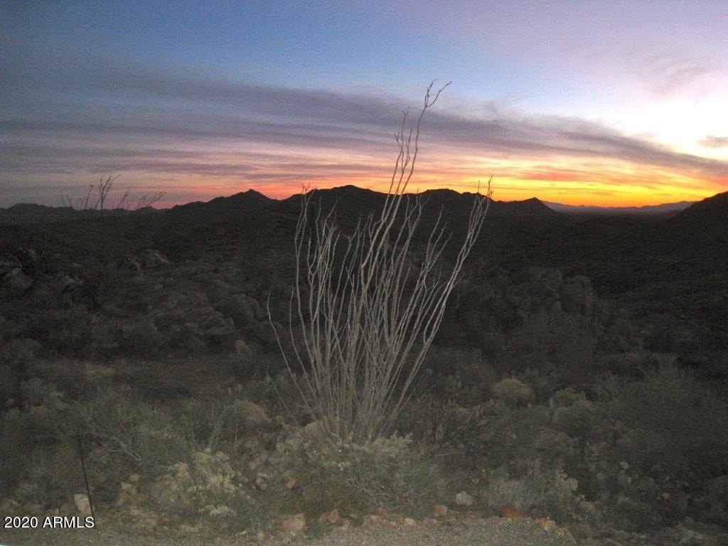 Picture 18