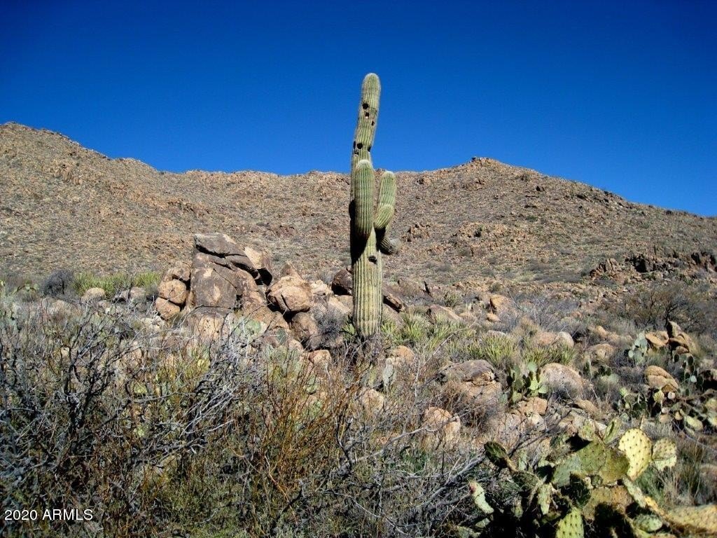 Picture 8