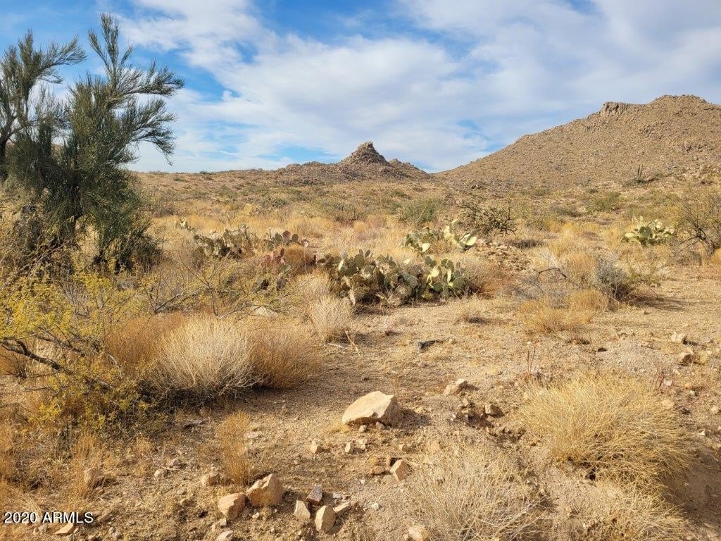 Picture 10