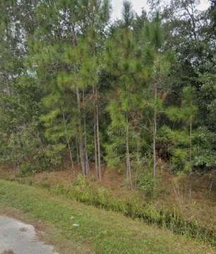 Land, POINCIANA, FL