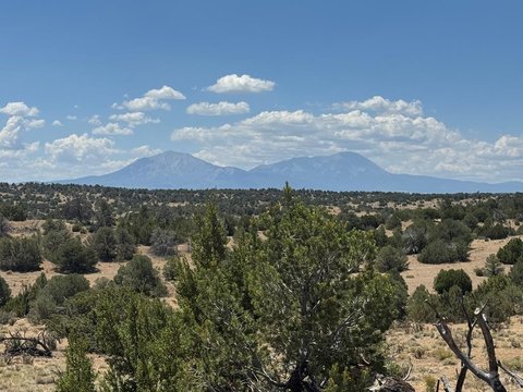 LAND - Walsenburg, CO