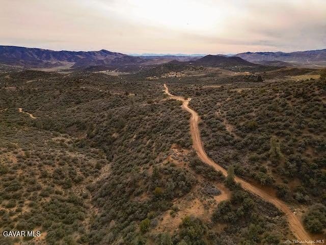 Picture 84