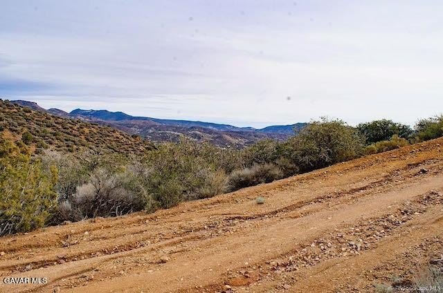 Picture 31