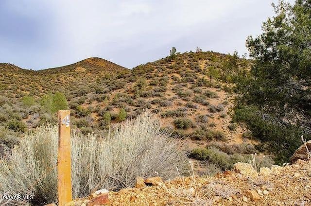 Picture 11
