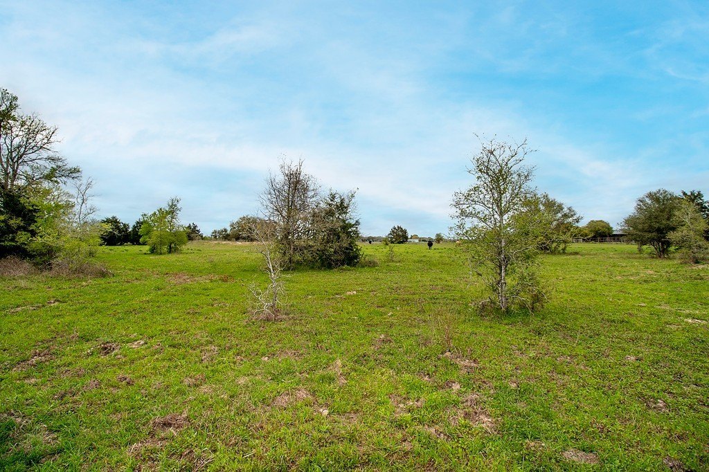 Picture 22