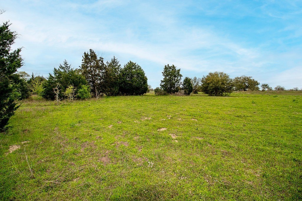 Picture 20