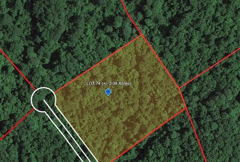 Wooded Land in Serenity Ridge