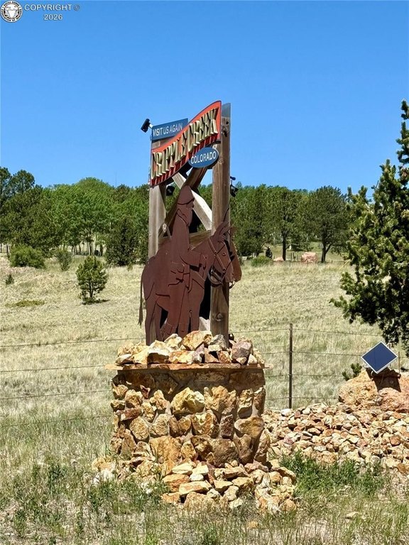 Picture 29