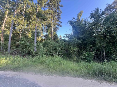 Spacious Lots in Gilmer, TX