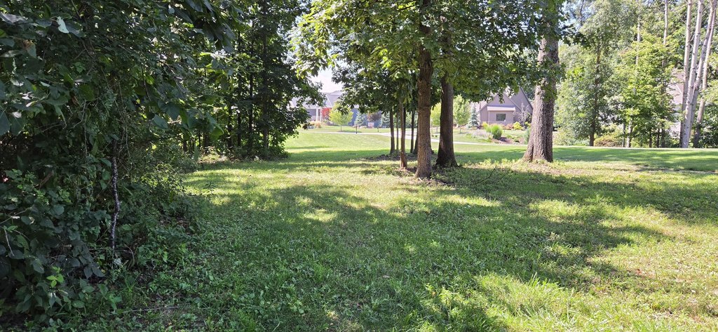 Picture 16