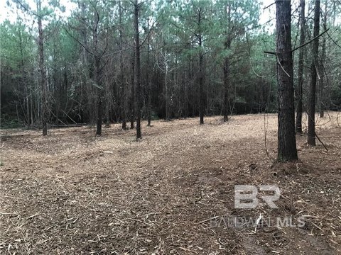 Wilmer, AL Land For Sale