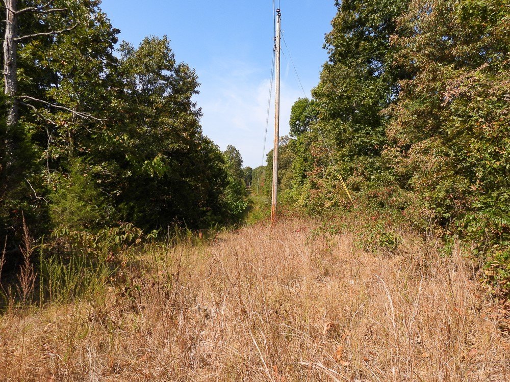 Picture 39
